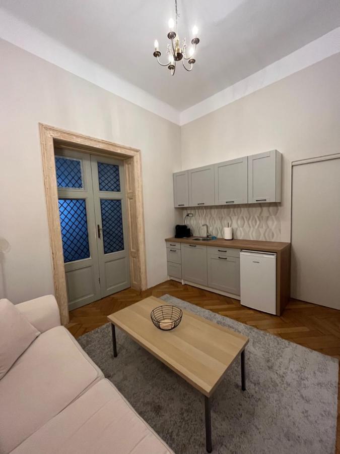 Barty Downtown Apart 2 Timisoara Bagian luar foto