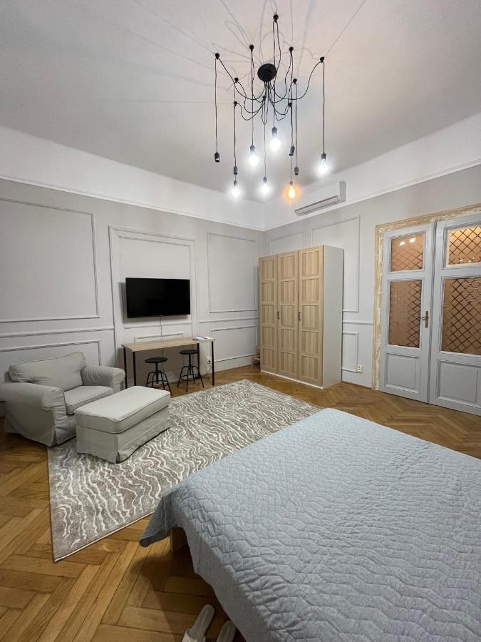 Barty Downtown Apart 2 Timisoara Bagian luar foto